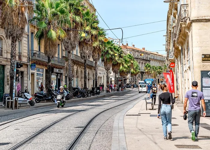 Les Voutes Centre Historique De Montpellier